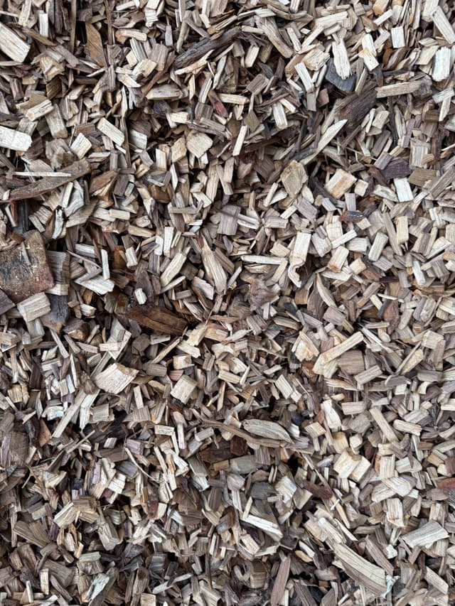 Cypress Pine Chip