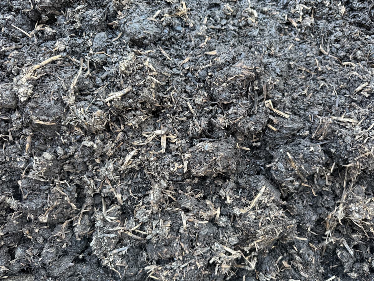 Mushroom Compost