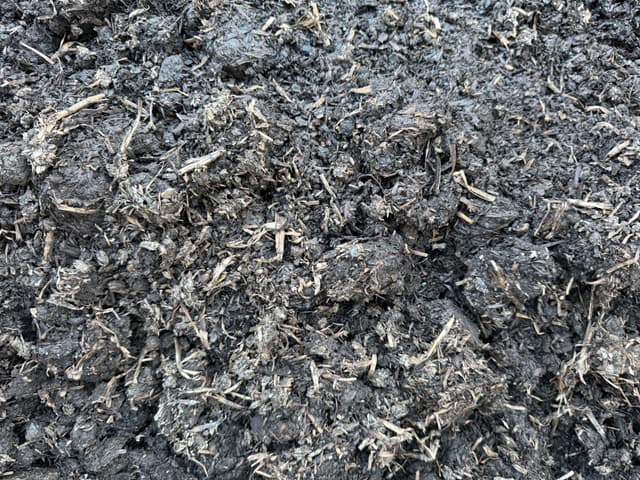 Mushroom Compost