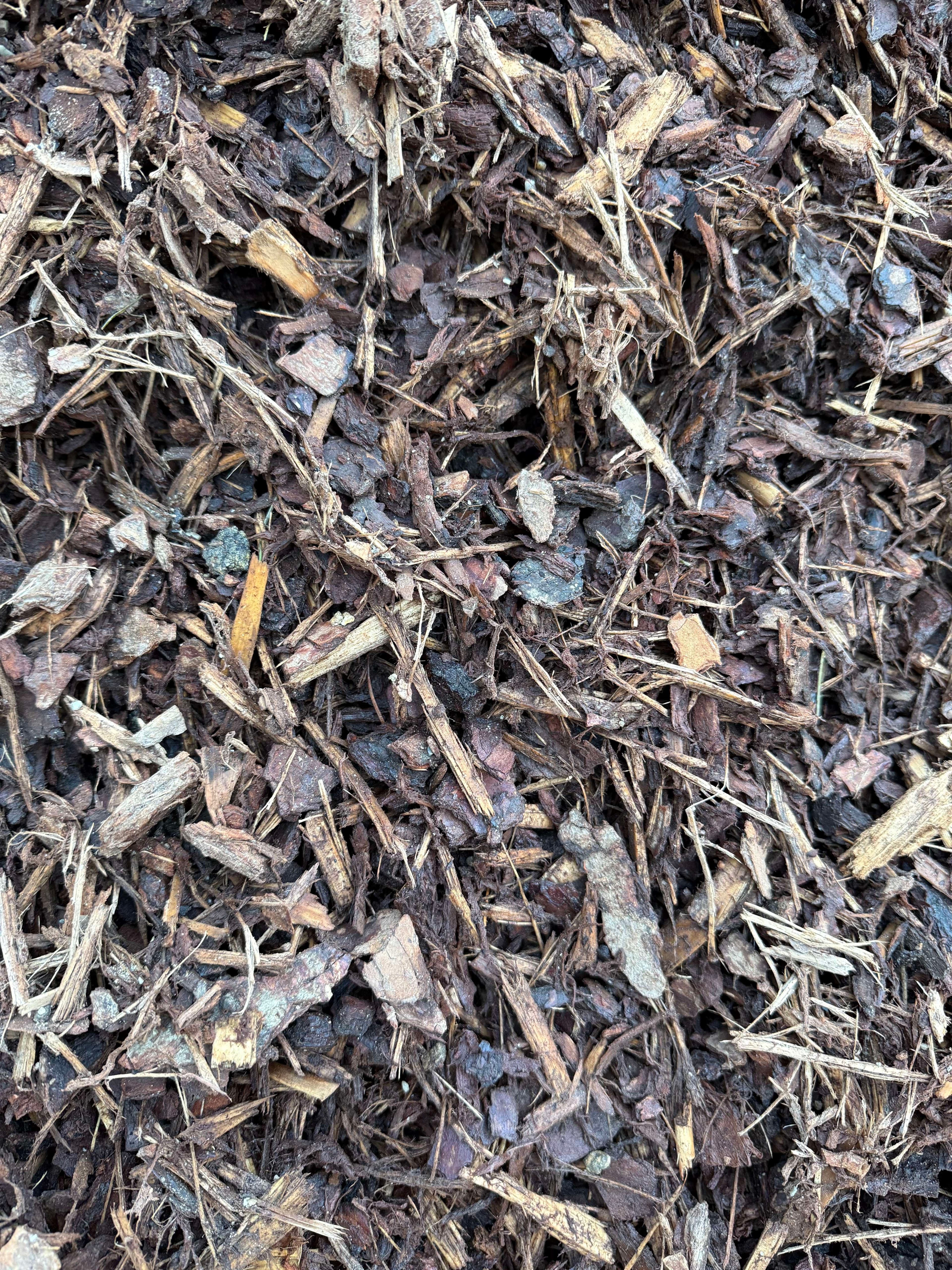 Eucaliptus Mulch